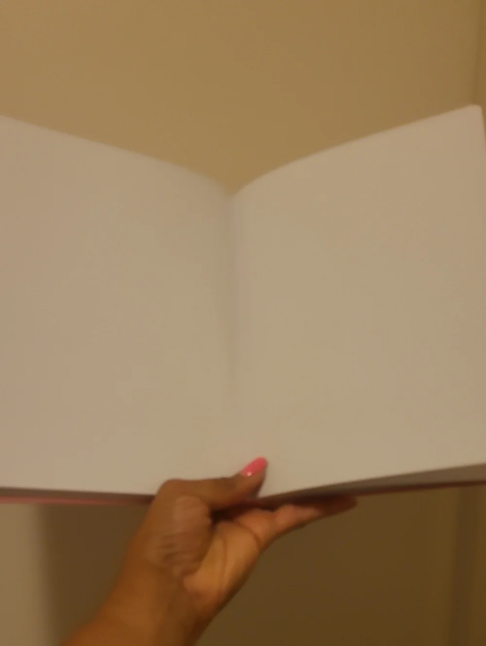 Juicy Couture Pink Gold Foil Cherry Sketchbook
